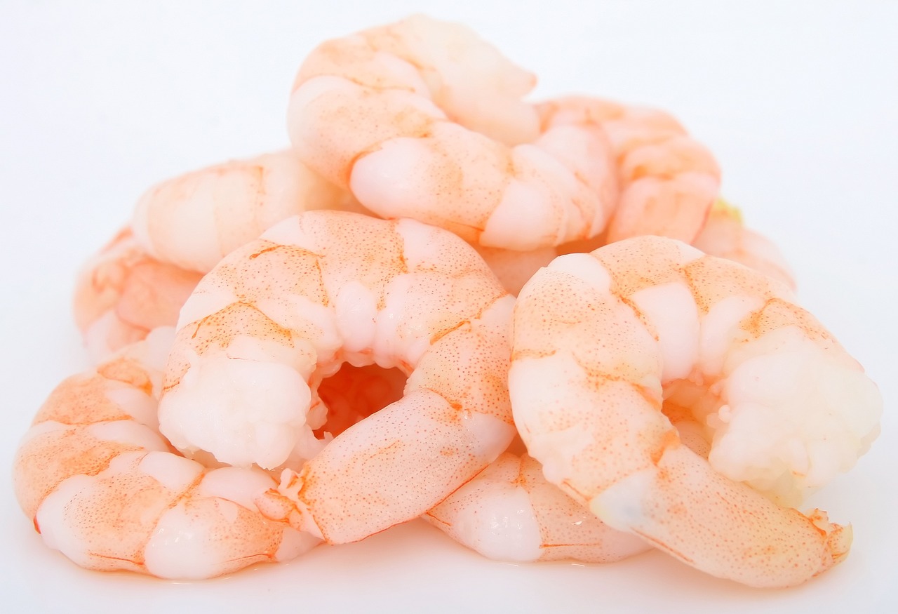 Phosphates in Seafood: Technology, Trust, and the Consumer Interest