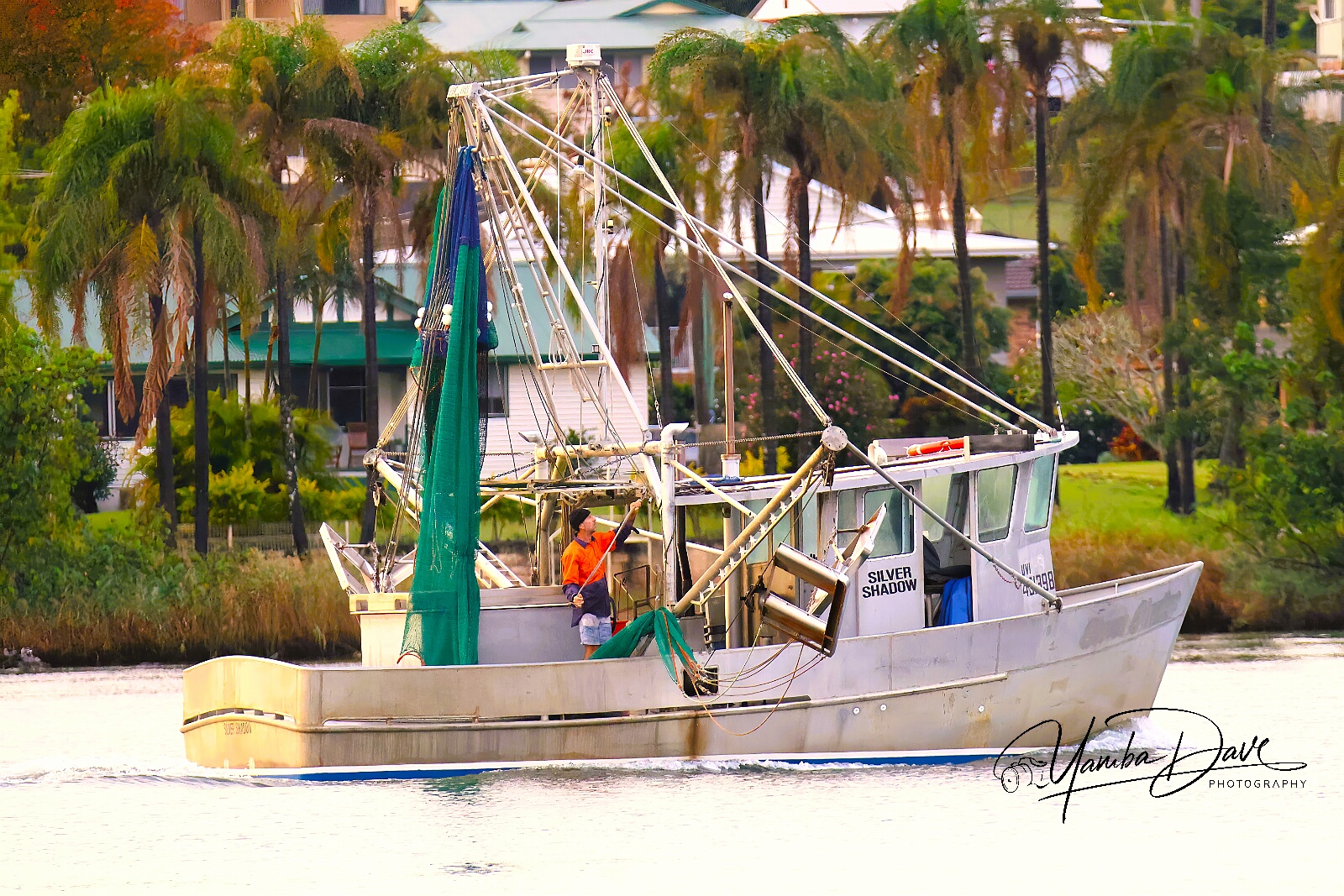 The Great Prawn Pivot: Securing the Future of the Australian Seafood Plate