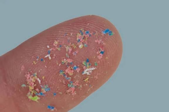 Plastics in the Sea: A New Science Review