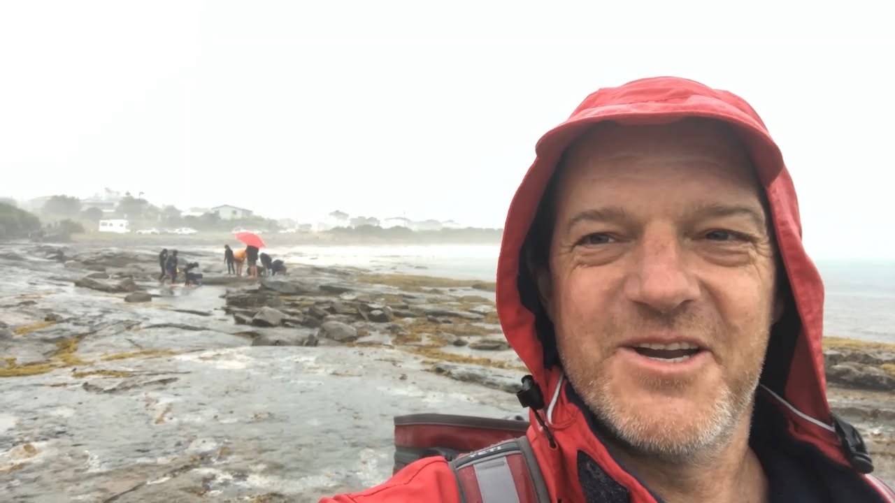 Restoring Australia's Lost Oyster Reefs – Why Every Seafood Consumer Should Care
