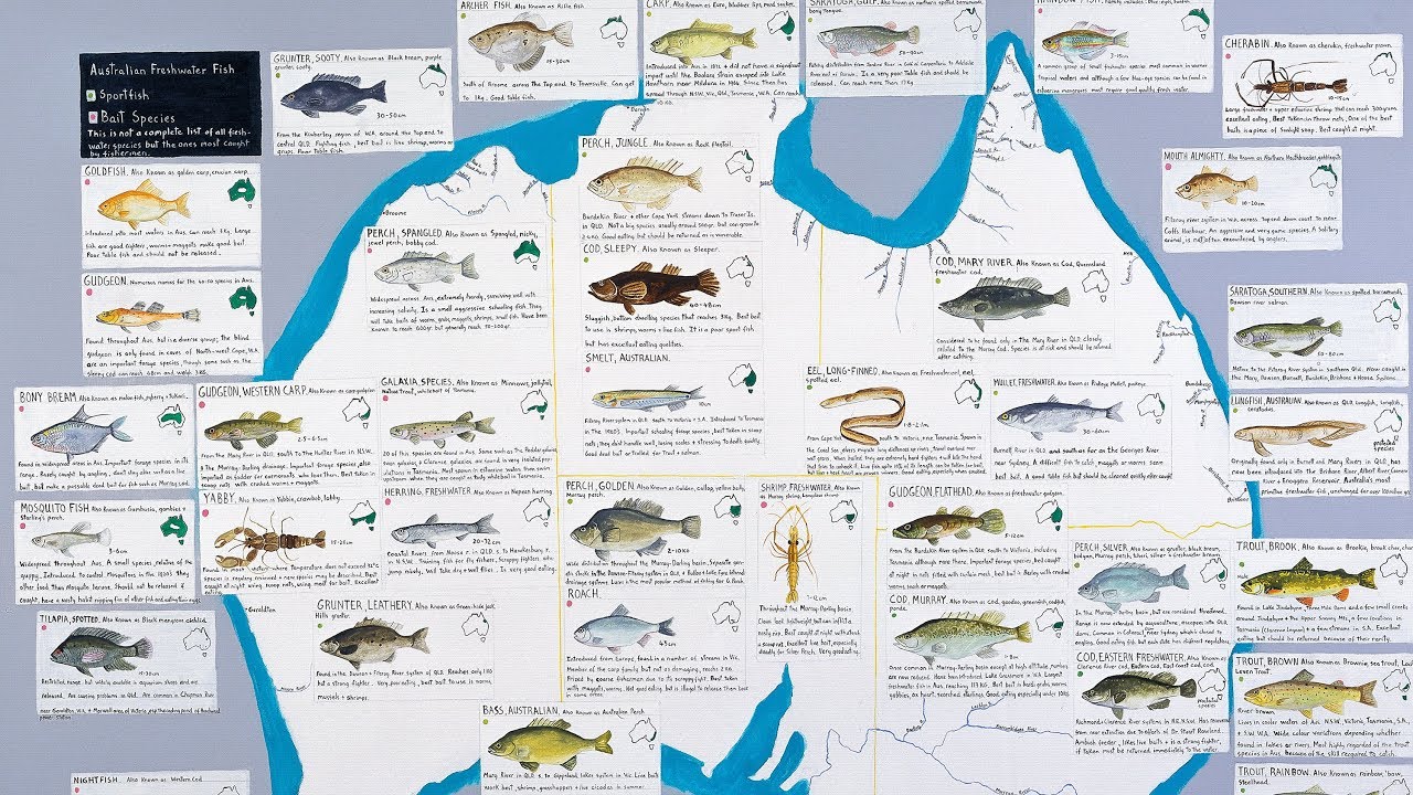 Why Transforming Freshwater Management Must Include Australia’s Seafood Consumers
