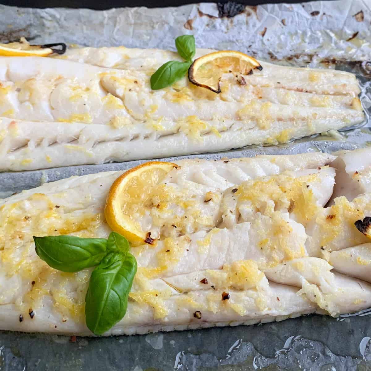 Seafood in Focus 23 August 2026 SCA Weekly Newsletter