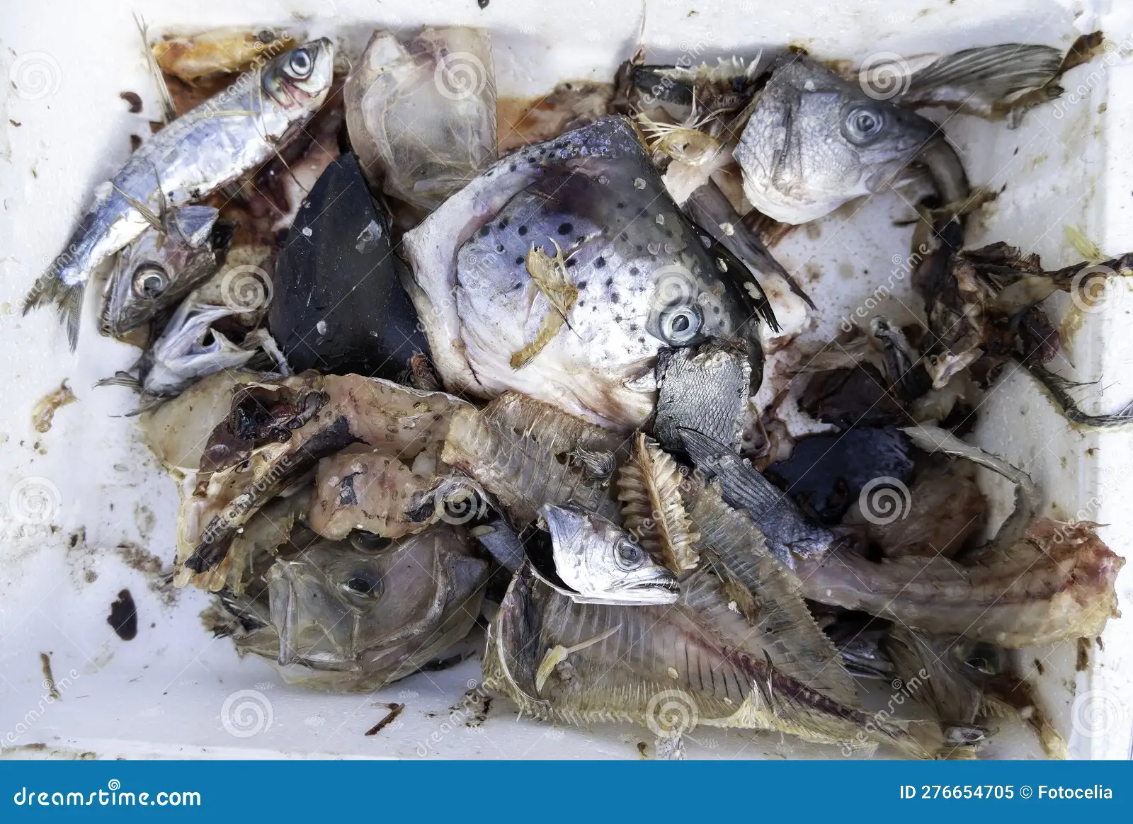 Sustainable Aquatic Foods, Innovation & Consumer Security