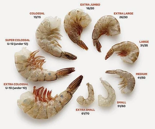 Understanding Prawns: What Are You Actually Buying?