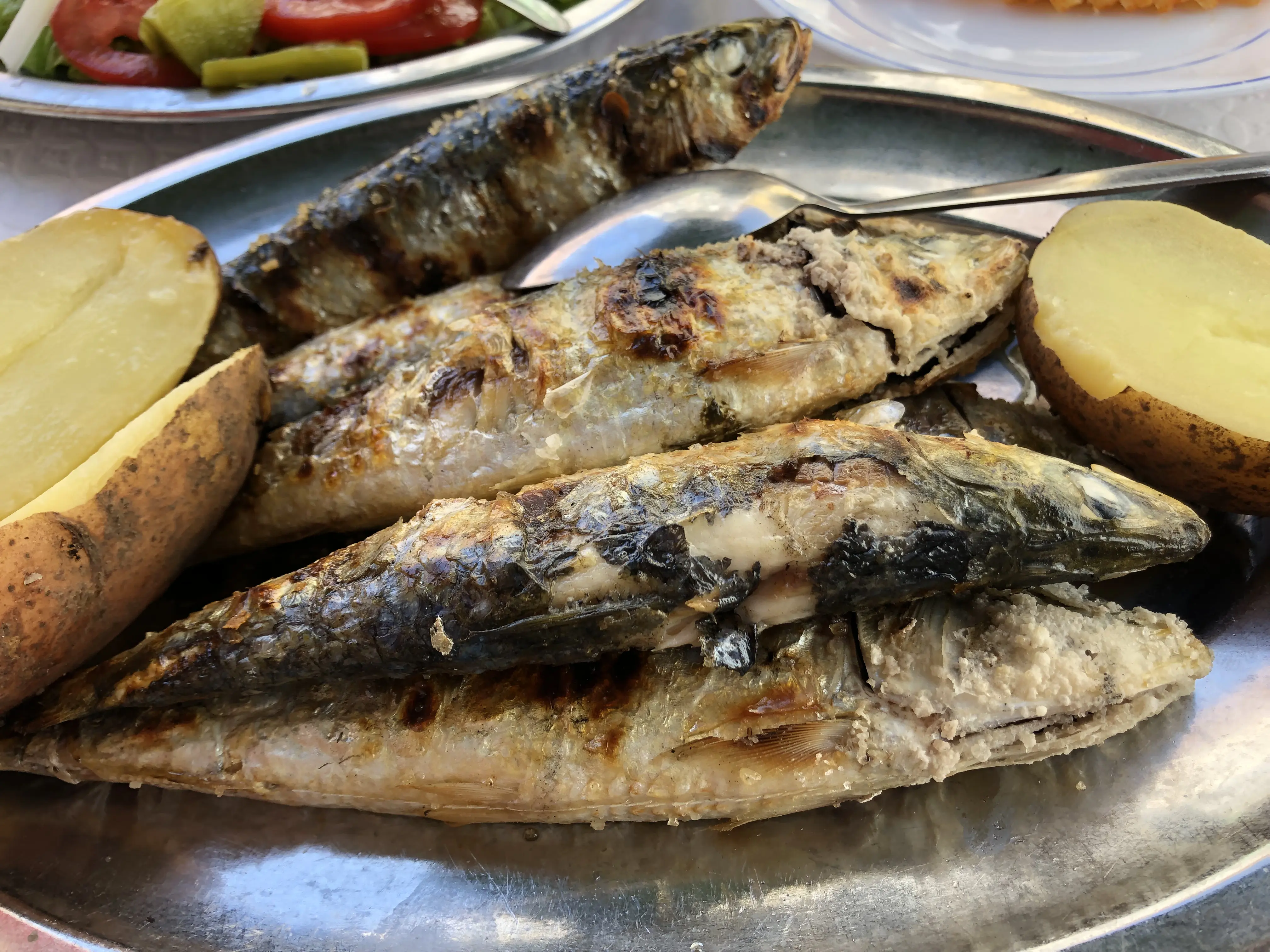 The Global Seafood Verdict