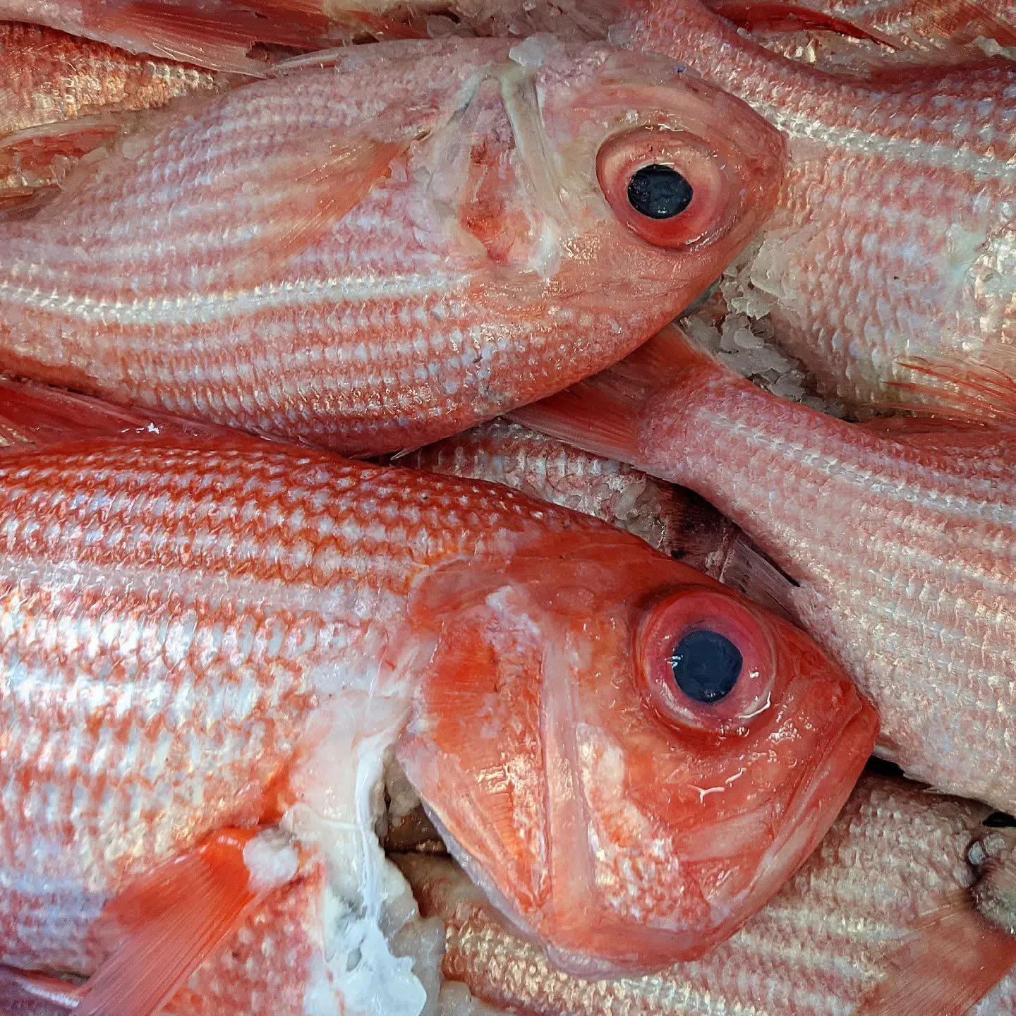 New Menu Labels Are a Win for Seafood Consumers—But They Are Only the Beginning