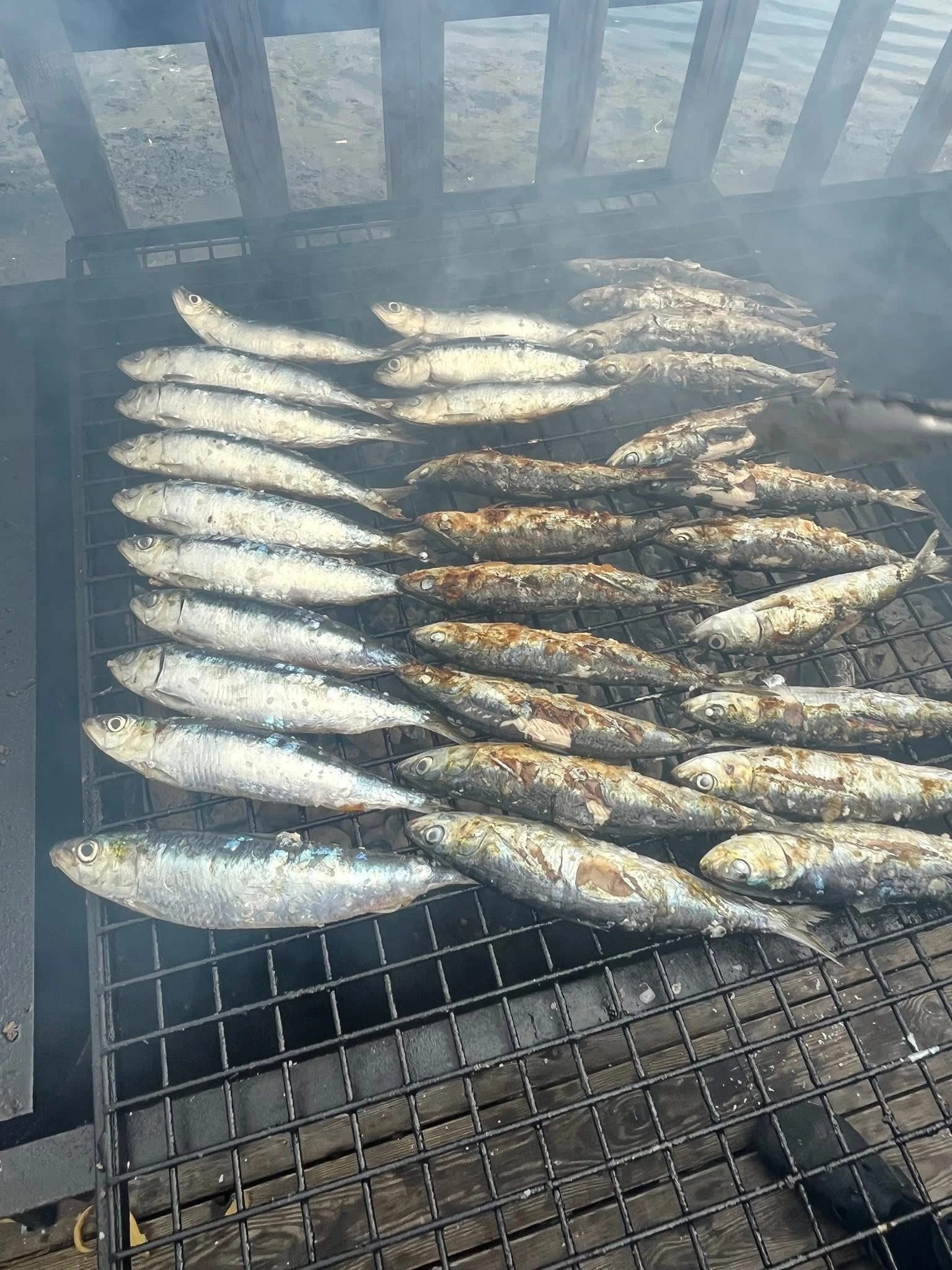 Food 4